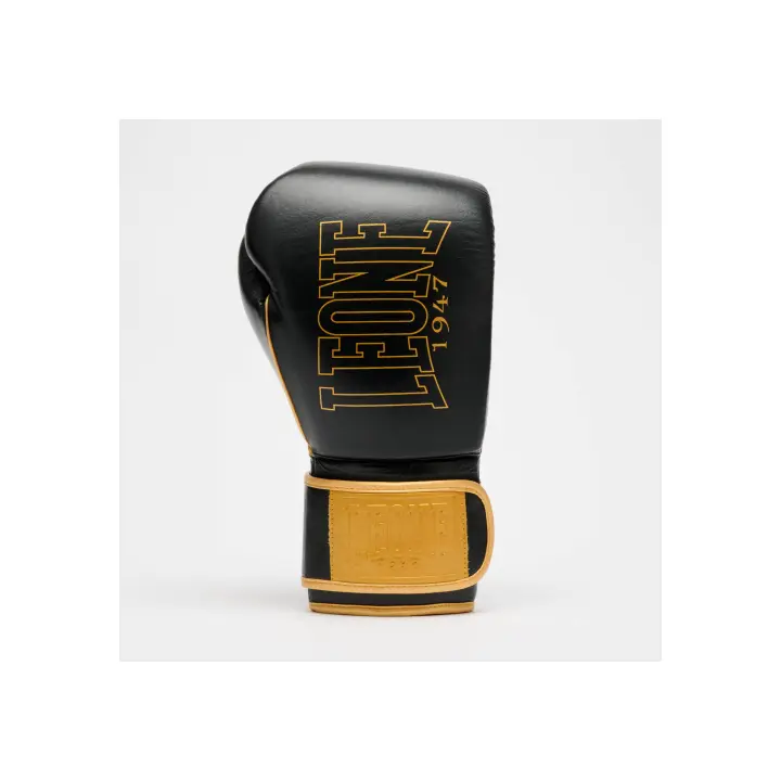 Gants de Boxe Leone DNA Premium
