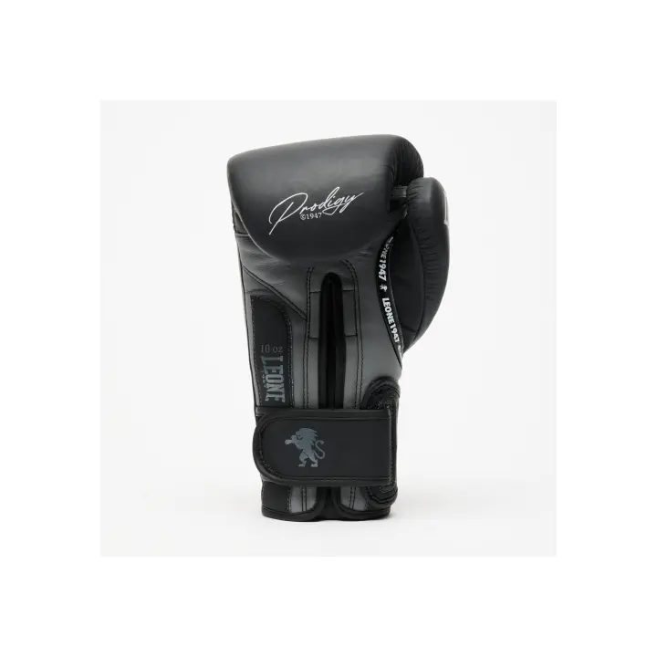 Gants de Boxe Prodigy Leone