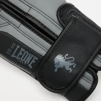 Gants de Boxe Prodigy Leone - 7