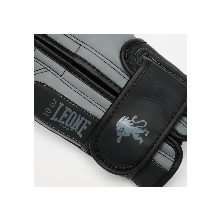 Gants de Boxe Prodigy Leone