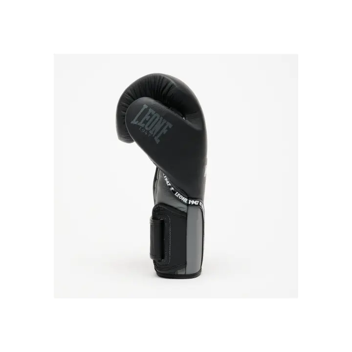 Gants de Boxe Prodigy Leone