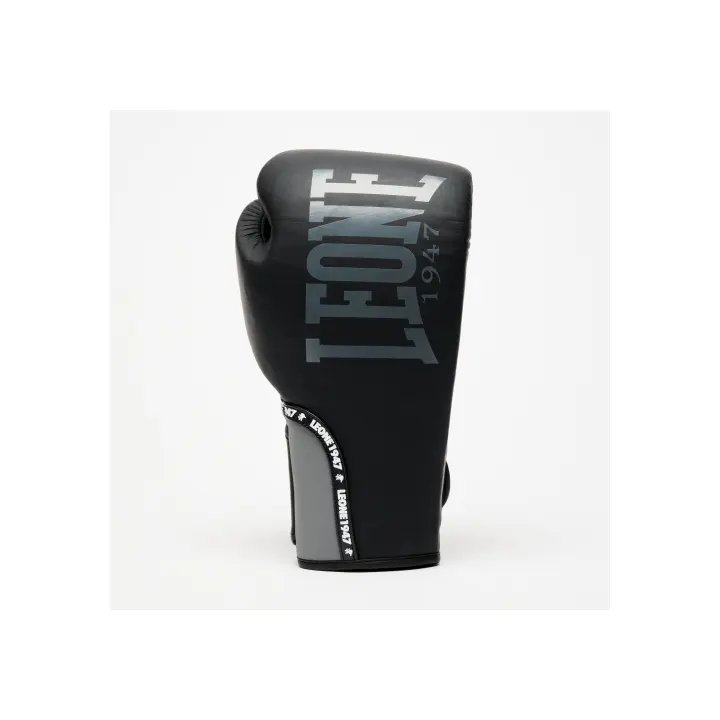 Gants de Boxe Prodigy Leone