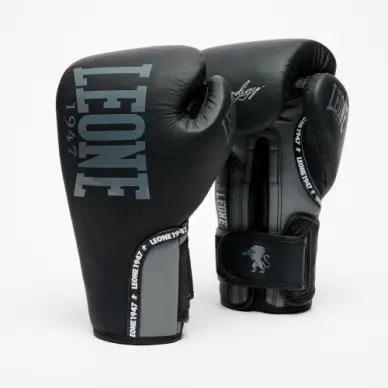 Gants de Boxe Prodigy Leone