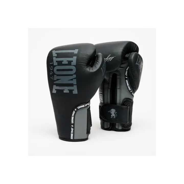 Gants de Boxe Prodigy Leone