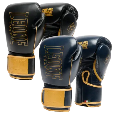 Gants de Boxe Leone DNA Premium