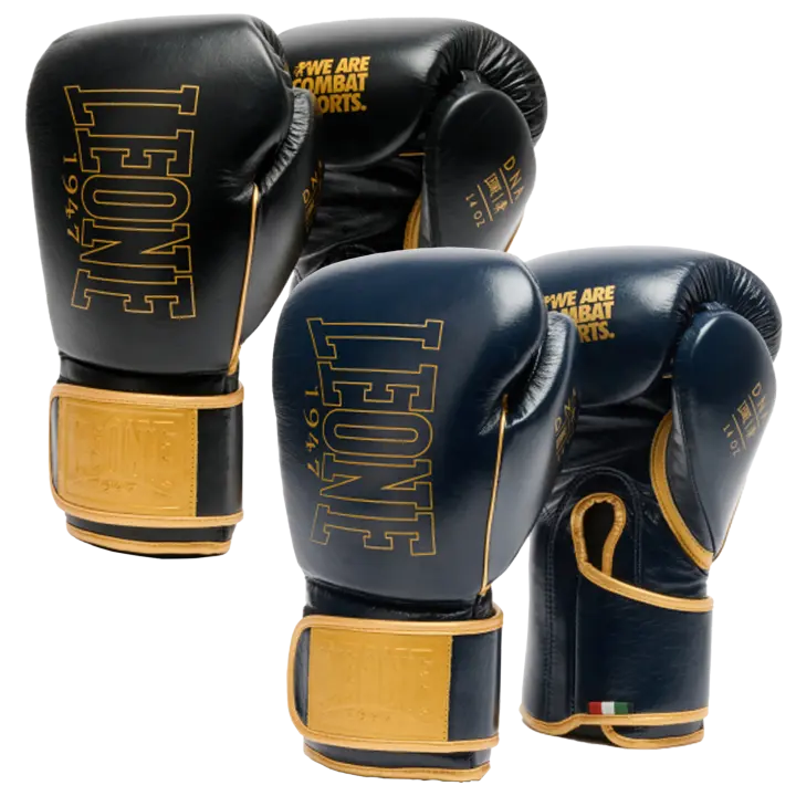 Gants de Boxe Leone DNA Premium