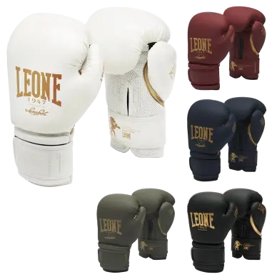 Guanti da boxe Leone vintage