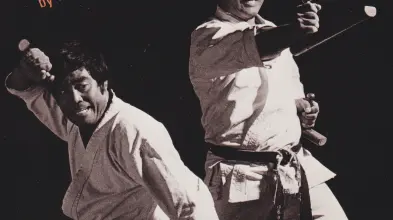 Tonfas pour le Kobudo et les Arts Martiaux