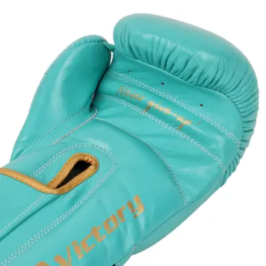 Gants de Boxe Montana Victory ltd Lagoon - 5