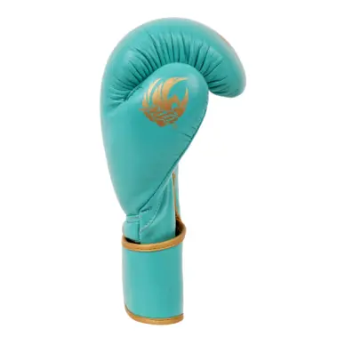 Gants de Boxe Montana Victory ltd Lagoon - 2