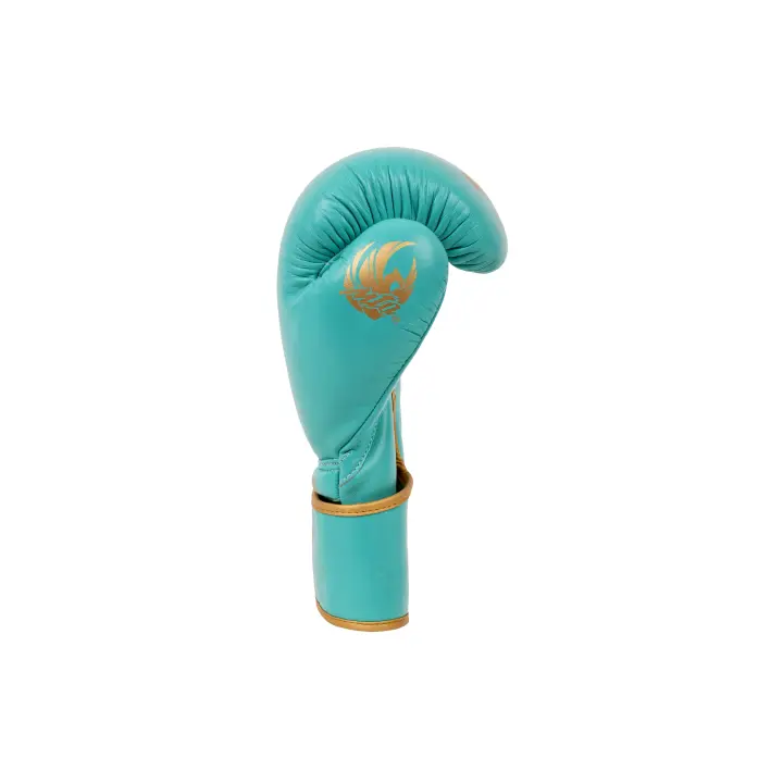 Gants de Boxe Montana Victory ltd Lagoon