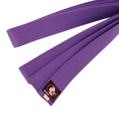 Ceinture de Karaté Violette - 4