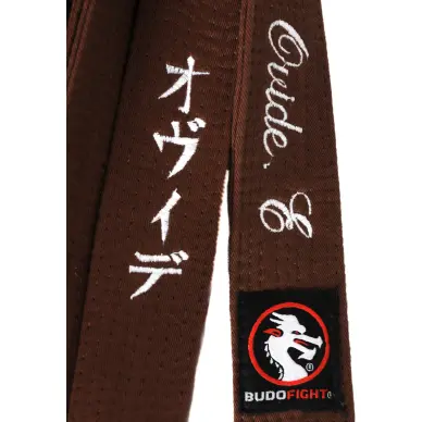 Ceinture de Judo Budofight - 29