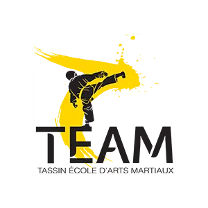 Tassin Ecole Arts Martiaux