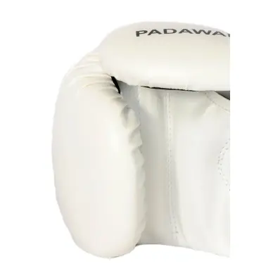 Gants de Boxe Padawan - 21