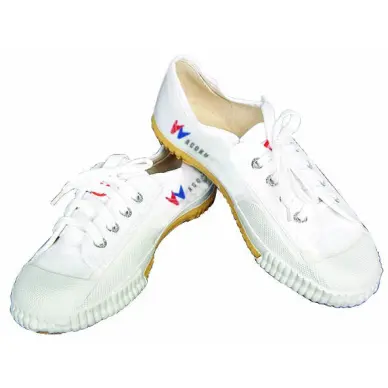 Chaussures de Kung Fu