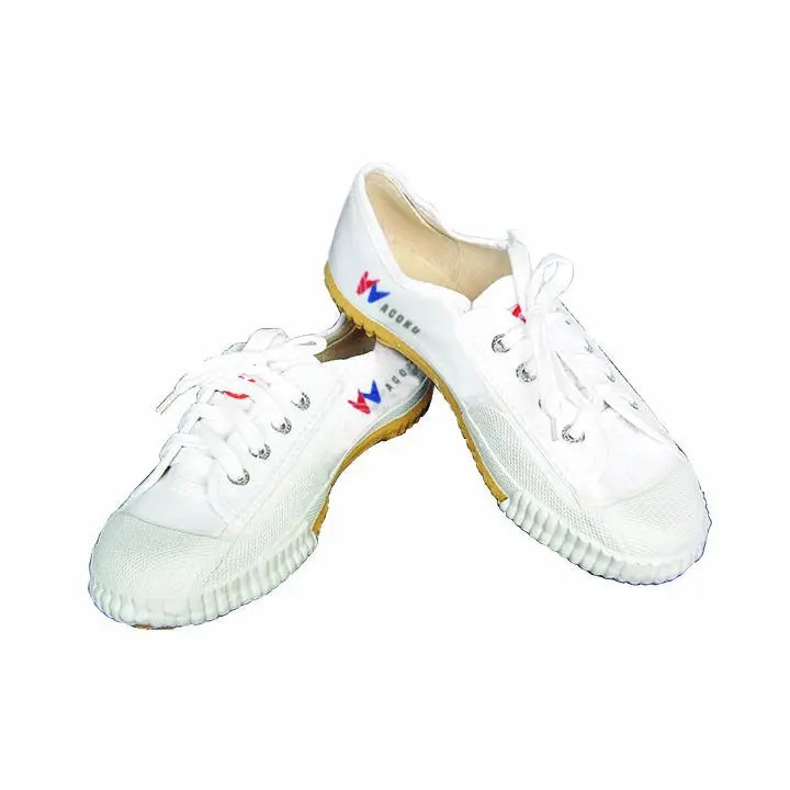 Chaussures de Kung Fu