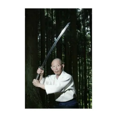 Katana Iaito T3 76cm, 900gr Importé du Japon - 3
