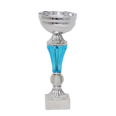 Coupe bicolore argent / bleu 20cm - 1
