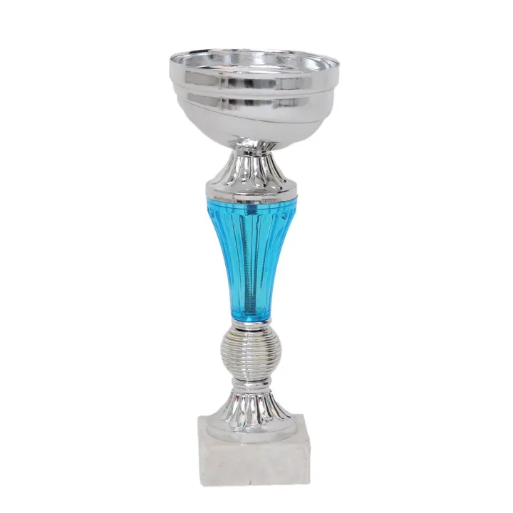Coupe bicolore argent / bleu 20cm