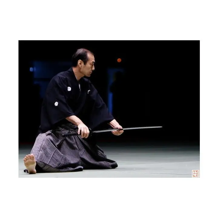 Katana Shinogi 75cm Importé du Japon