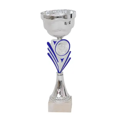 Coupe bicolore argent / bleu 29cm - 1