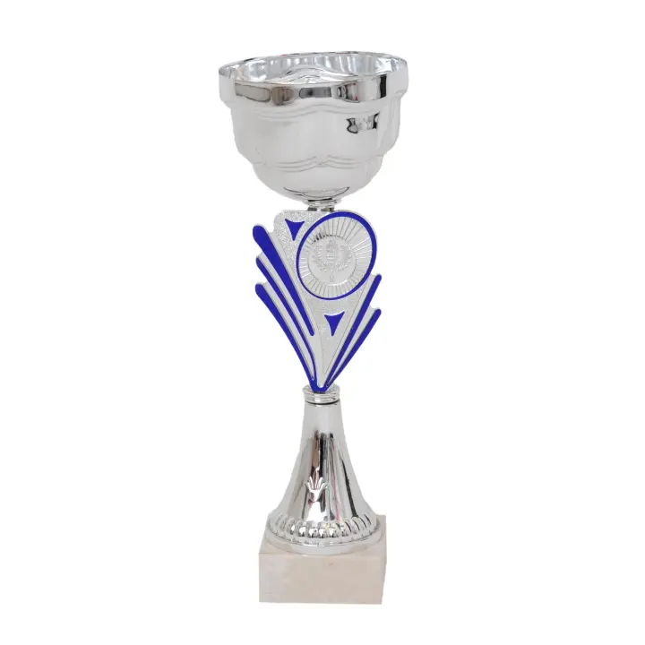 Coupe bicolore argent / bleu 29cm