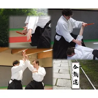 Kaiken Tanto Aikuchi Blanc Laqué Importé du Japon - 2