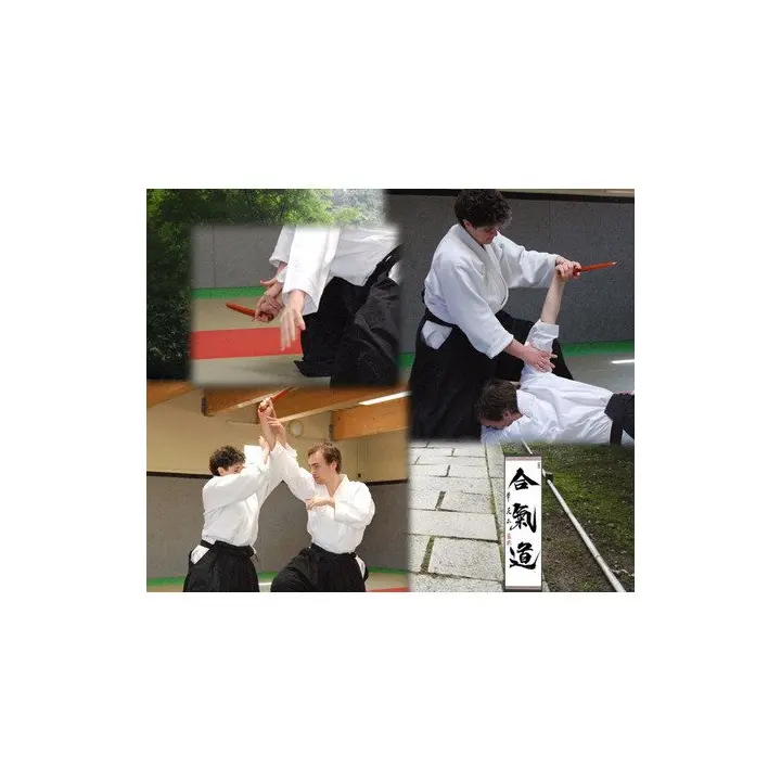 Kaiken Tanto Aikuchi Blanc Laqué Importé du Japon