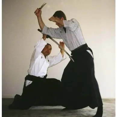 Kaiken Tanto Noir Laqué Importé du Japon - 2