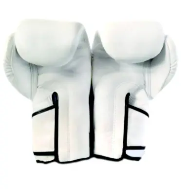 Gants de boxe Fairtex FXV6 - 13