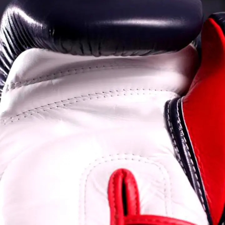 Gants de boxe Fairtex FXV6