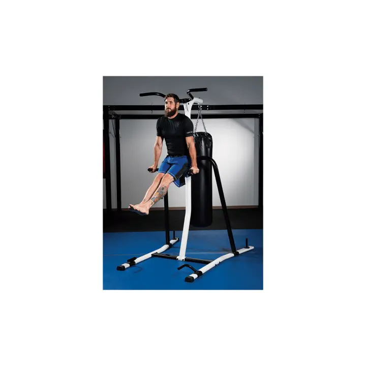 Portique saco de boxeo y fitness Century