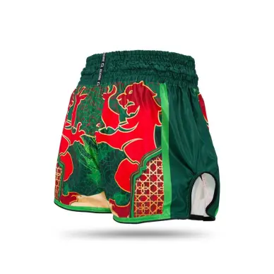 Short de Boxe Thai TBT Country MA - 5