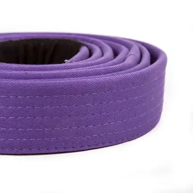 Ceinture de JJB Venum Violette - 2