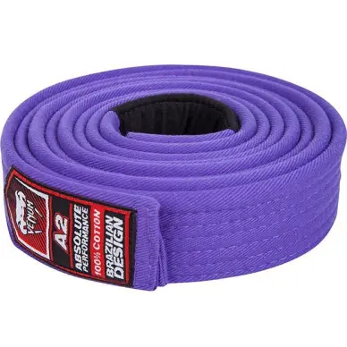 Ceinture de JJB Venum Violette