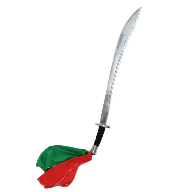 Sabre Kung Fu Rigide