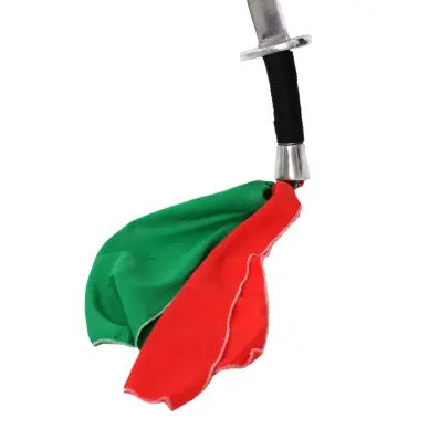 Sabre Kung Fu Rigide - 2