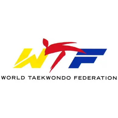 Mitaines Taekwondo WTF - 5