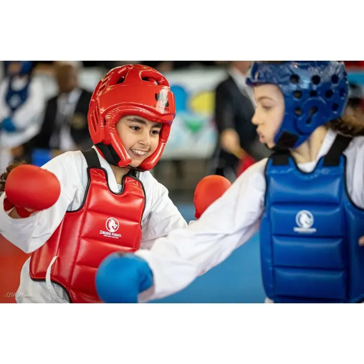 Plastron Karaté réversible FFK