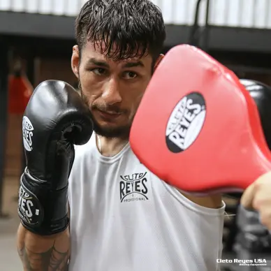 Gants de Boxe Cleto Reyes Pro Sparring 100% cuir - 25