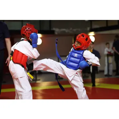 Plastron Karaté réversible FFK - 5