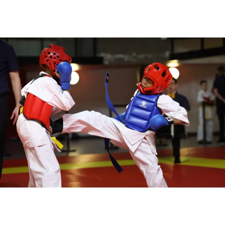 Plastron Karaté réversible FFK