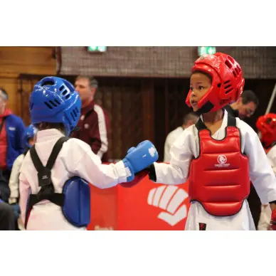 Plastron Karaté réversible FFK - 8