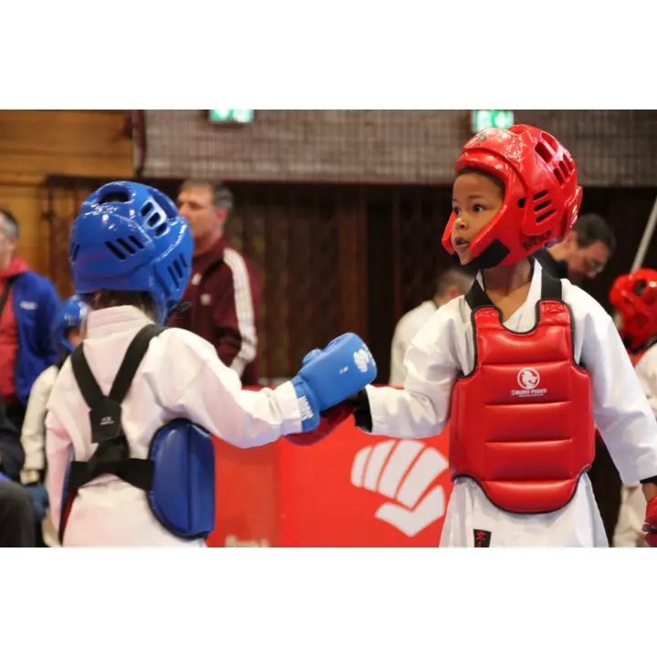 Plastron Karaté réversible FFK