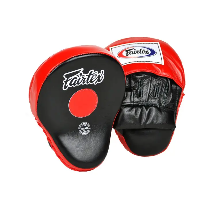 Pattes d'ours de Boxe courbées Fairtex Pro taille M