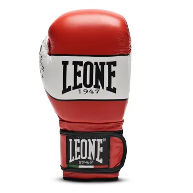 Gants de boxe Leone Shock - 10