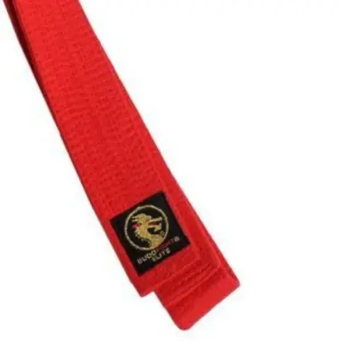 Ceinture de Judo Elite Budofight - 16
