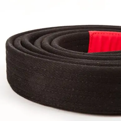 Ceinture de JJB Venum Noire - 2