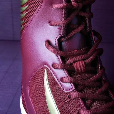 Chaussures de boxe Elion Bordeaux - 10